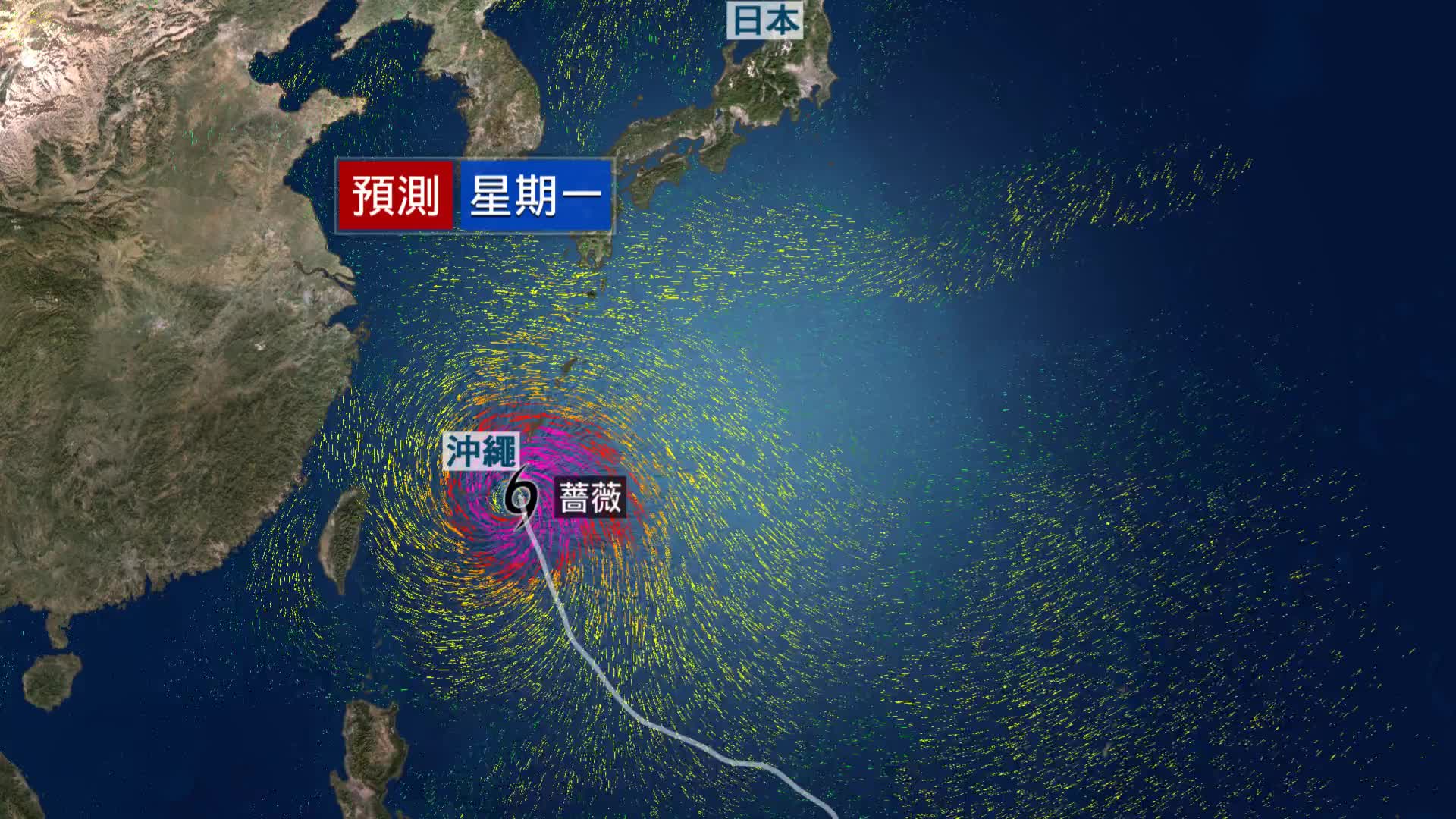 20260601 TYPHOON - 截图1