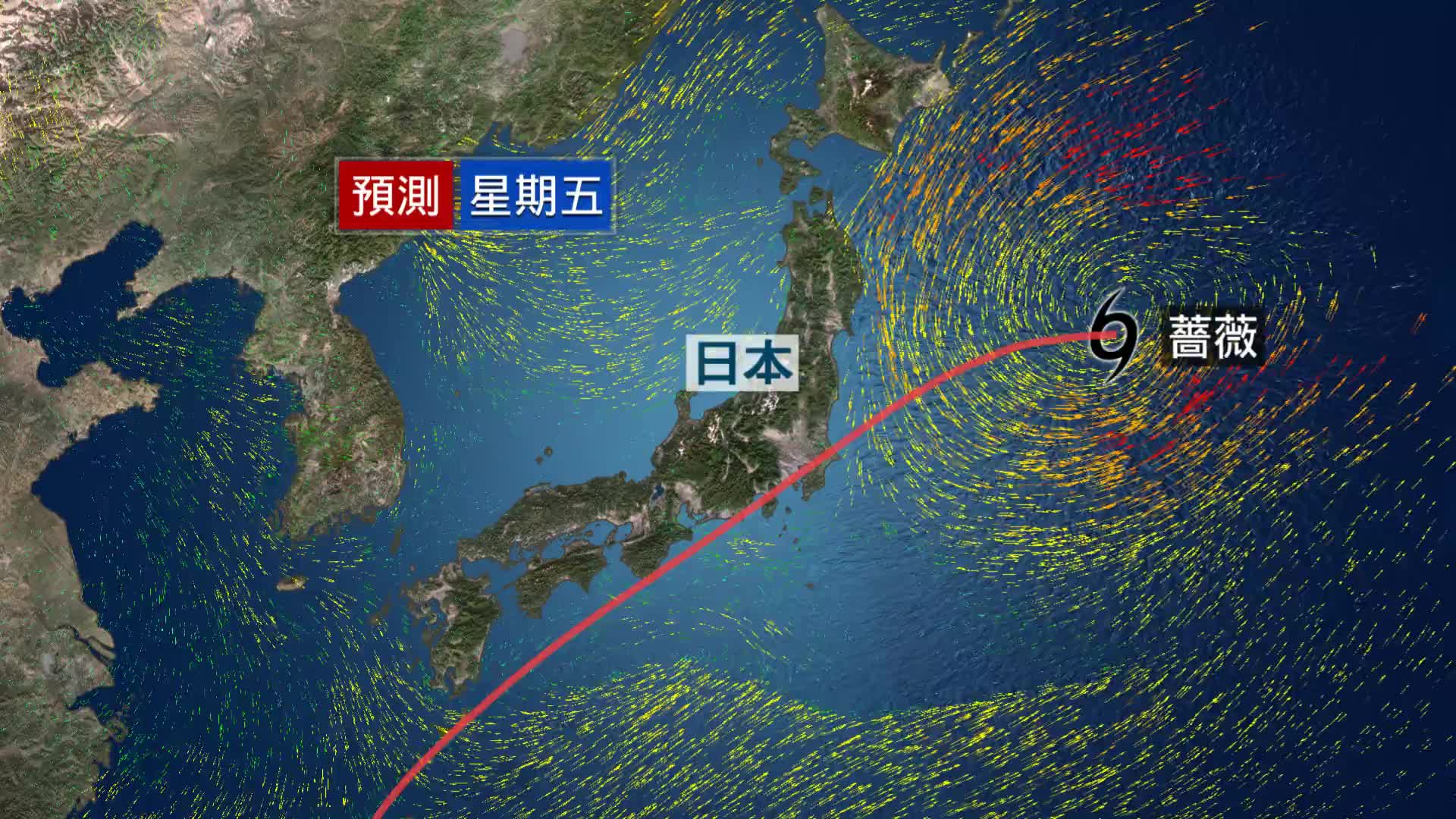 20260601 TYPHOON - 截图2