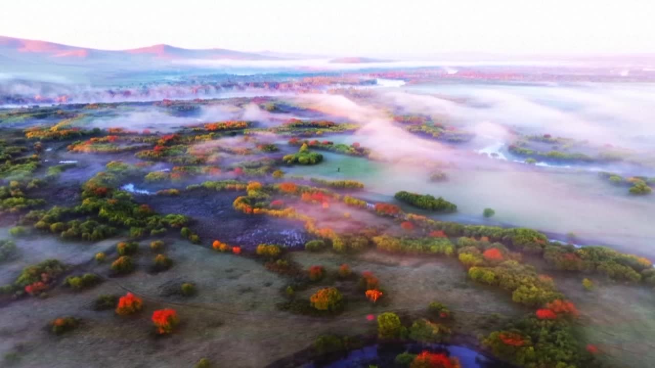 8499928_(0000-0100) 內蒙額爾古納濕地晨霧如仙境 - 截图5