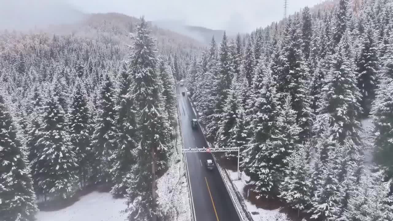 8503085_新疆喀納斯 秋雪同框奇景 done.mp4 - 截图5