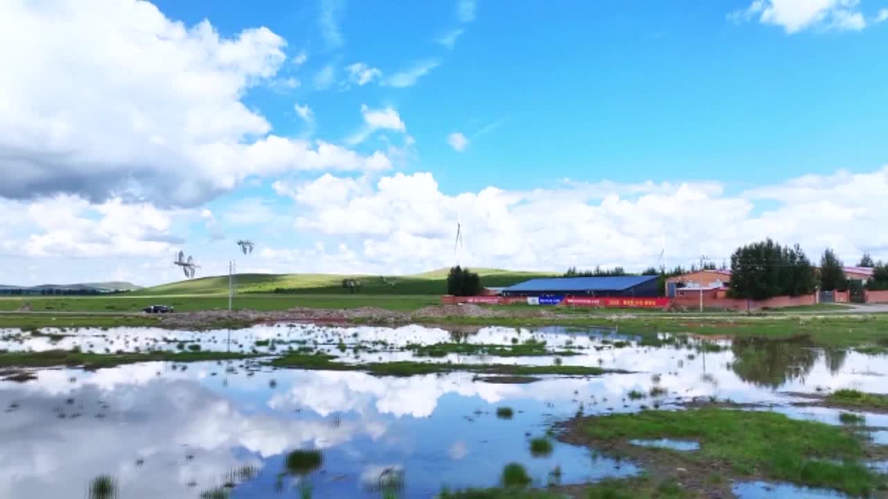 8495248_多倫濕地候鳥聚 生態改善見效 - 截图7