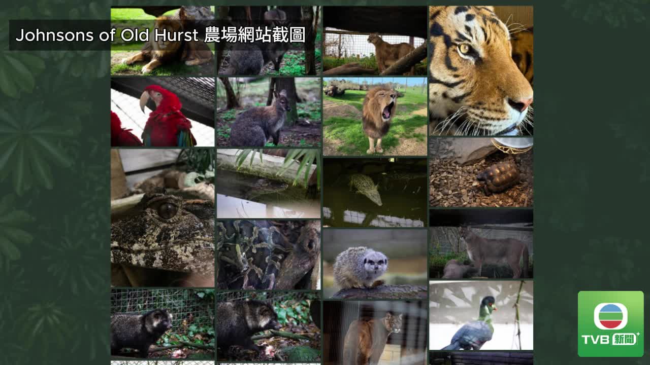 UK MEDIA - 截图4