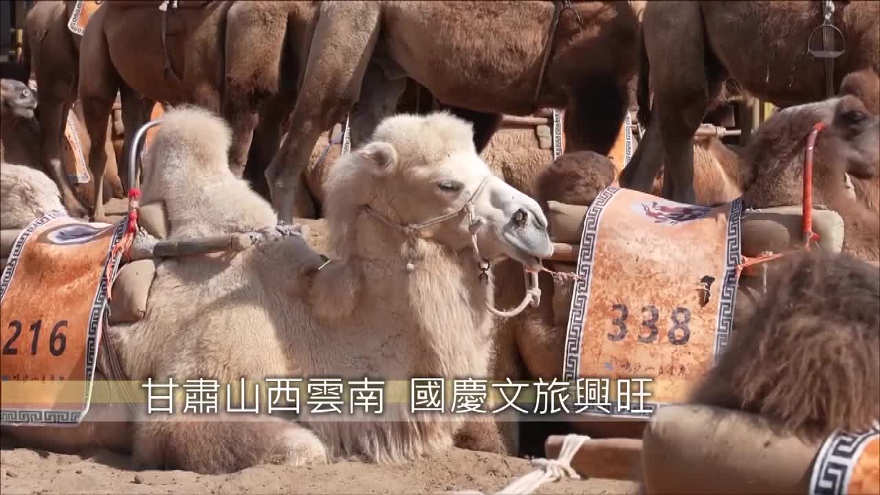 8502145_甘肅山西雲南 國慶文旅興旺 done - 截图3