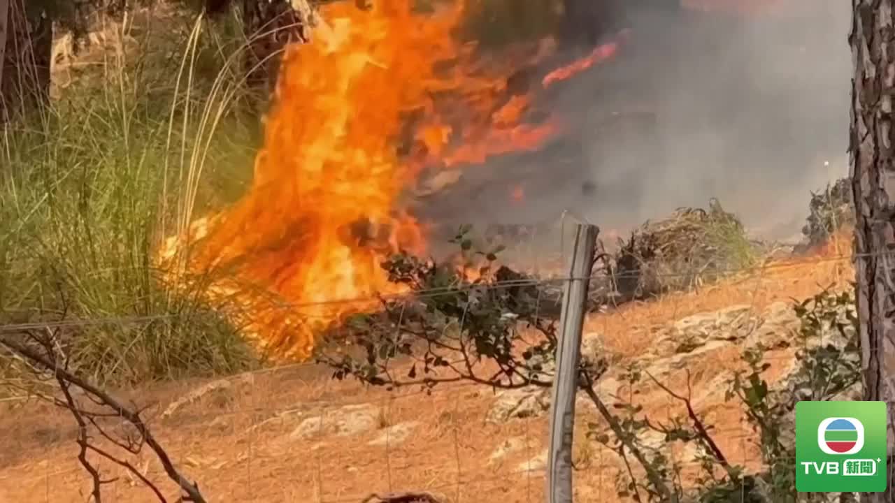 ita.wildfire - 截图1