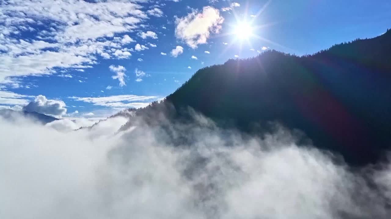 8501724_(0000-0046)秋染中國：西藏林芝 - 截图1