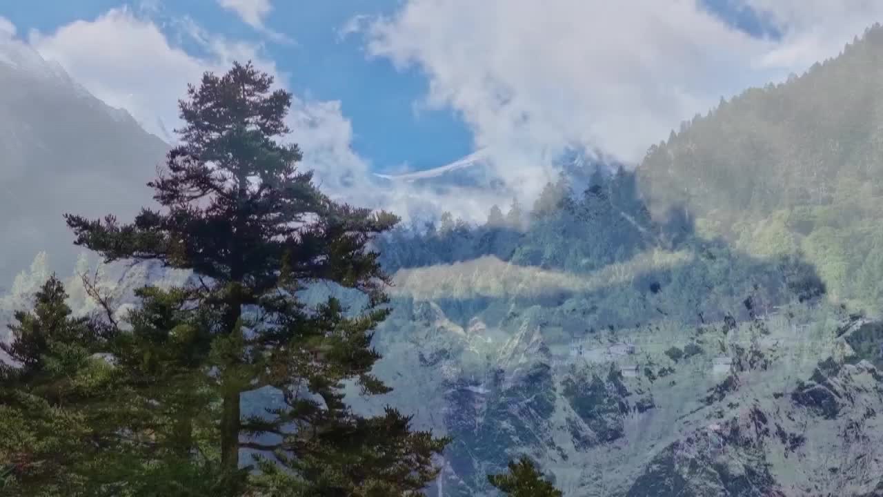 8501724_(0000-0046)秋染中國：西藏林芝 - 截图6