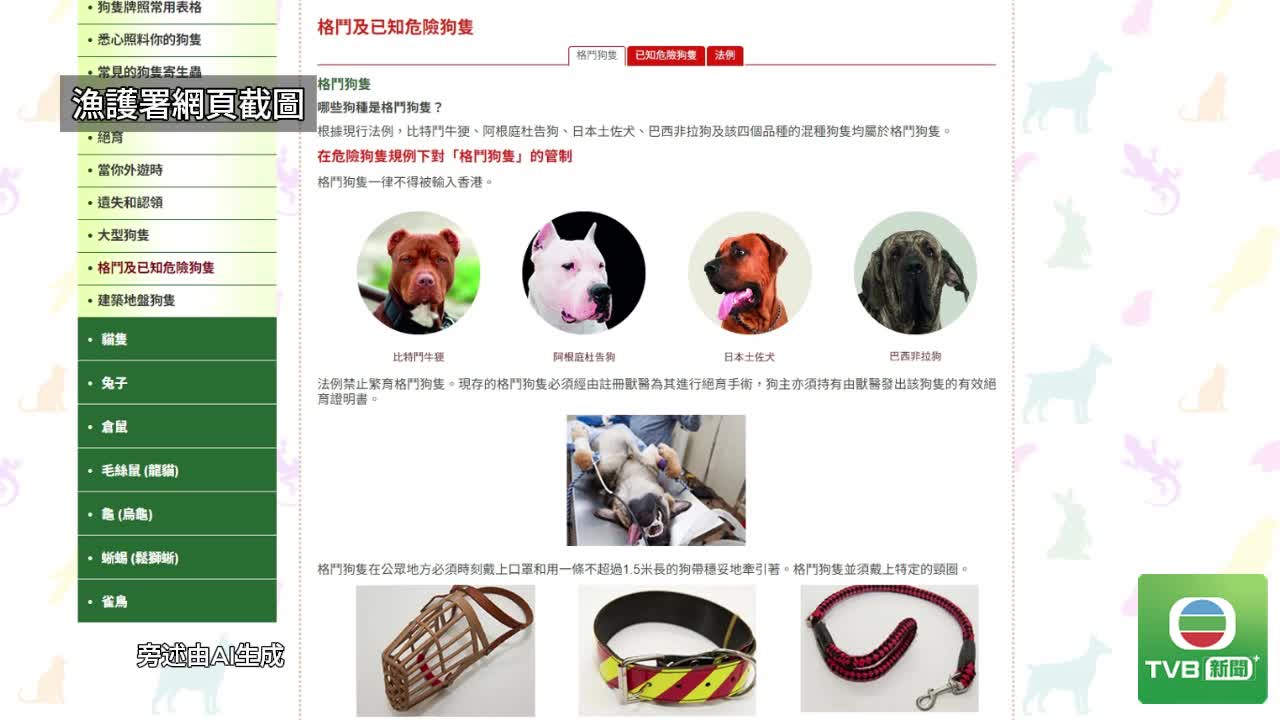 0821_DOG - 截图6