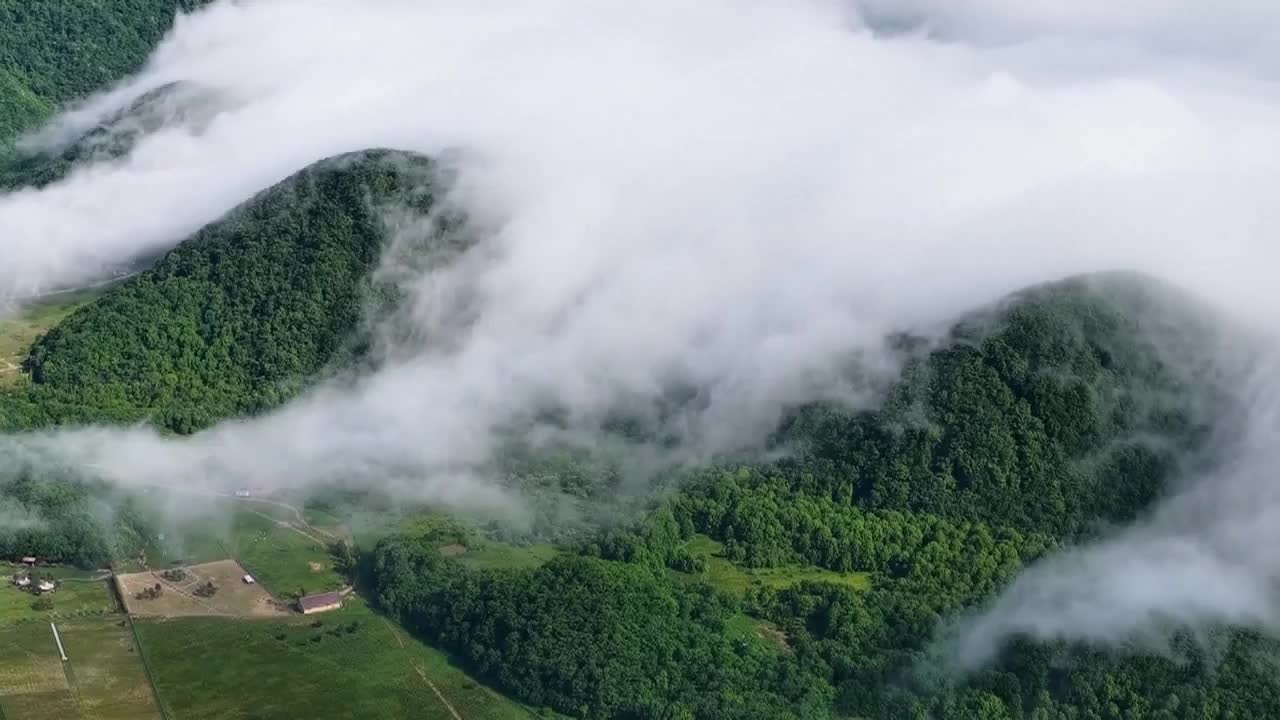 8484655_雨後湖北神農架 翠巒雲海如畫 - 截图5