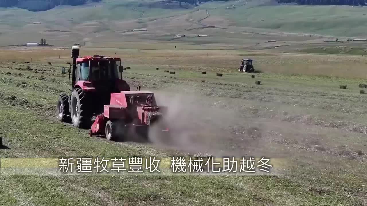 8494796_新疆牧草豐收 機械化助越冬 - 截图3