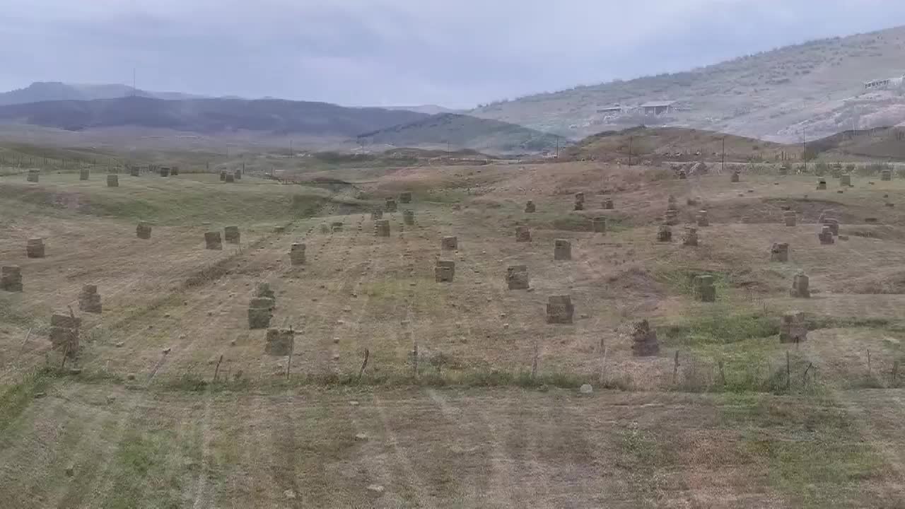 8494796_新疆牧草豐收 機械化助越冬 - 截图4