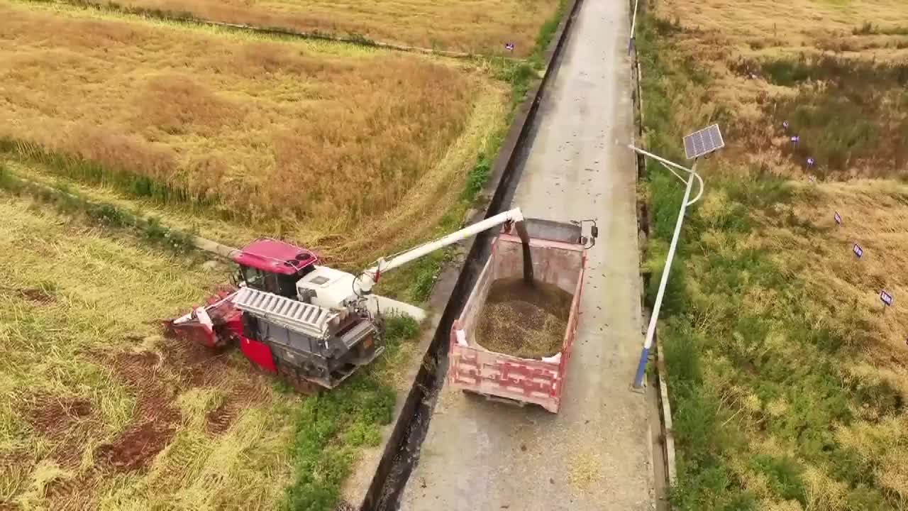 8482111_貴州推稻油輪作 機械化收割增效率 - 截图4