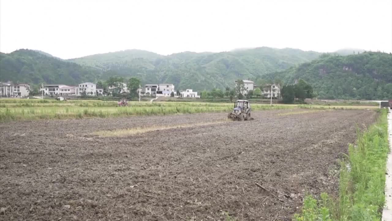 8482111_貴州推稻油輪作 機械化收割增效率 - 截图5