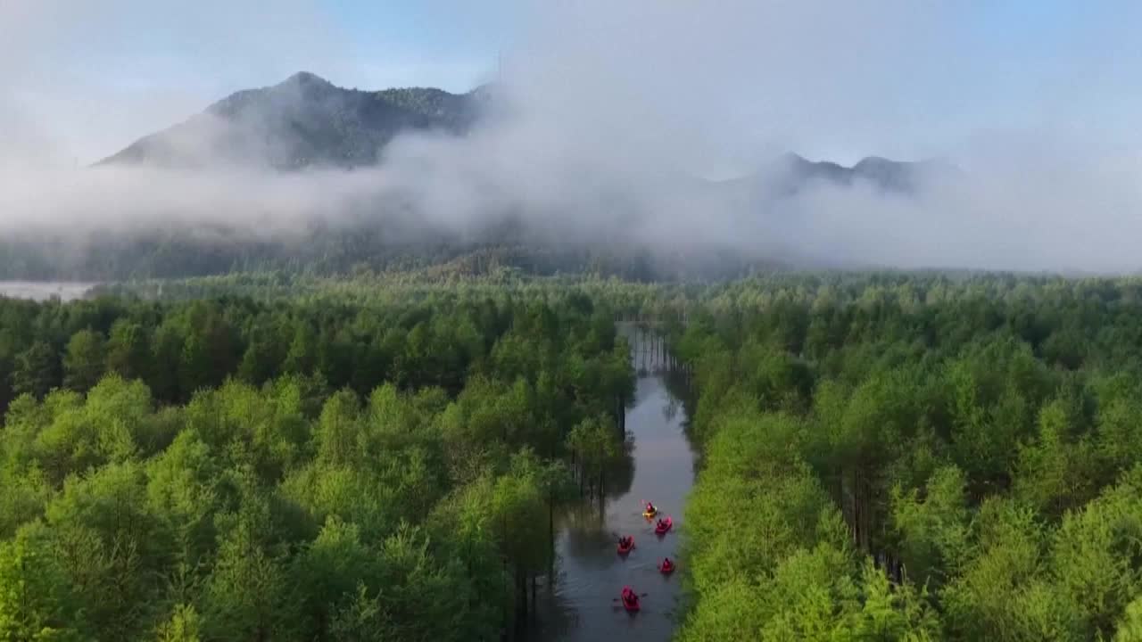 8490832_中国林草增绿 生态产业并进 俯瞰神州 - 截图7
