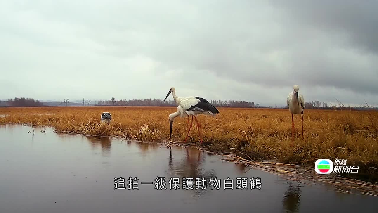 1.J.HLJ.CRANE.0529-0623 - 截图3
