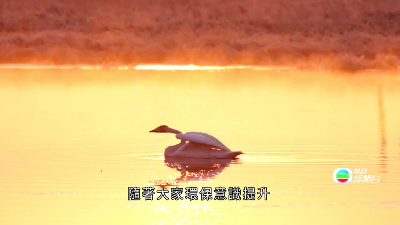 1.J.HLJ.CRANE.0529-0623 - 截图5