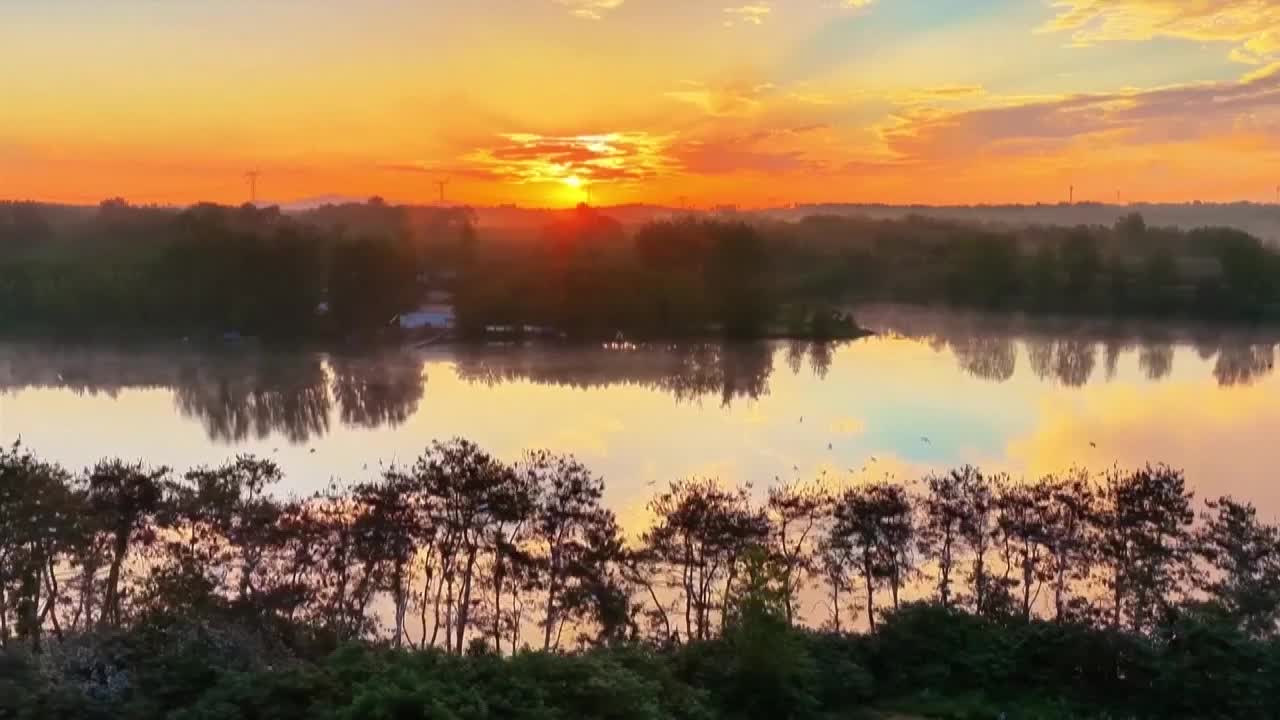8487811_河南桐柏濕地 萬鳥棲息繁殖 - 截图7