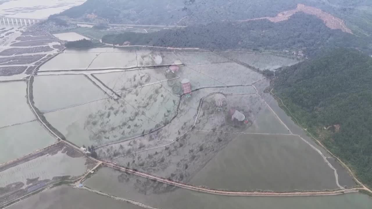 8486697_福建寧德縊蟶豐收 日產量應市 - 截图6