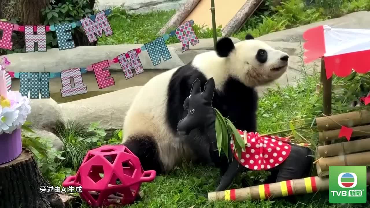 0826_PANDA - 截图6