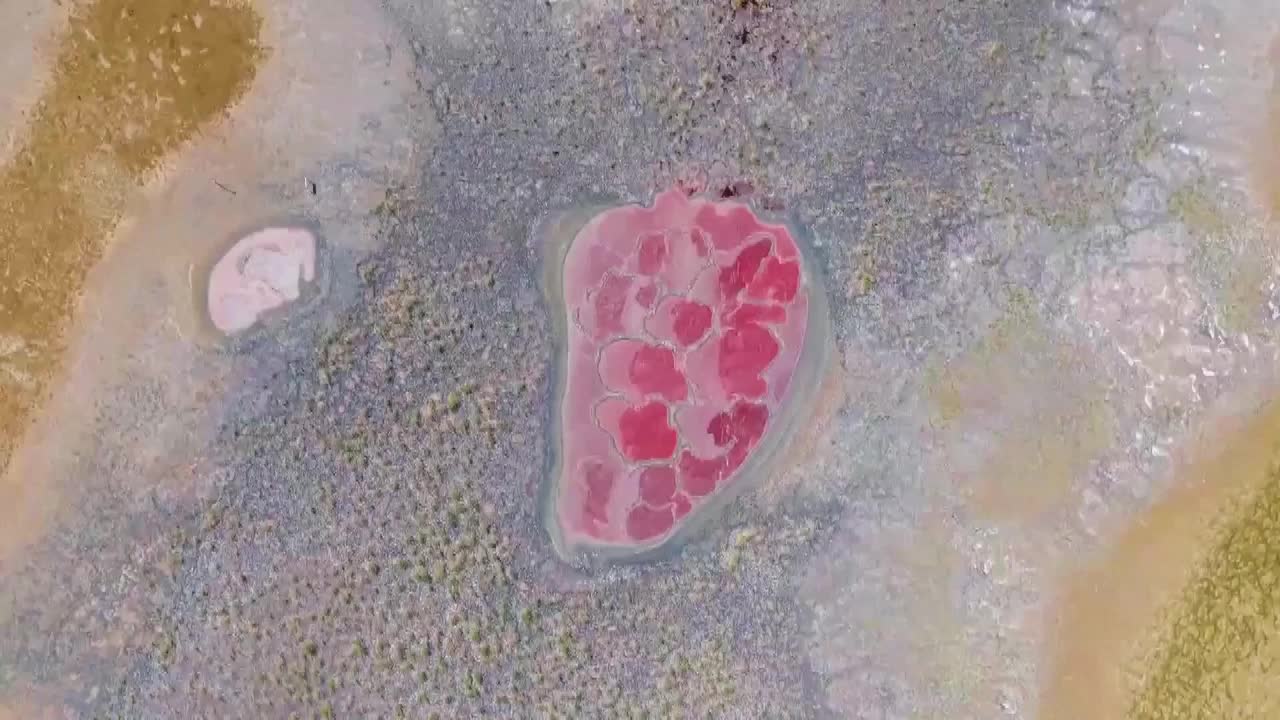 8493188_騰格里鹽湖 沙漠紅心吸客 - 截图1