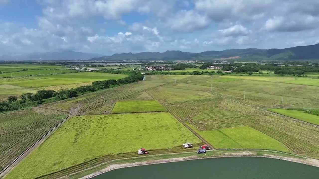 8495363_中國早稻穩產 連續六年豐收 - 截图5