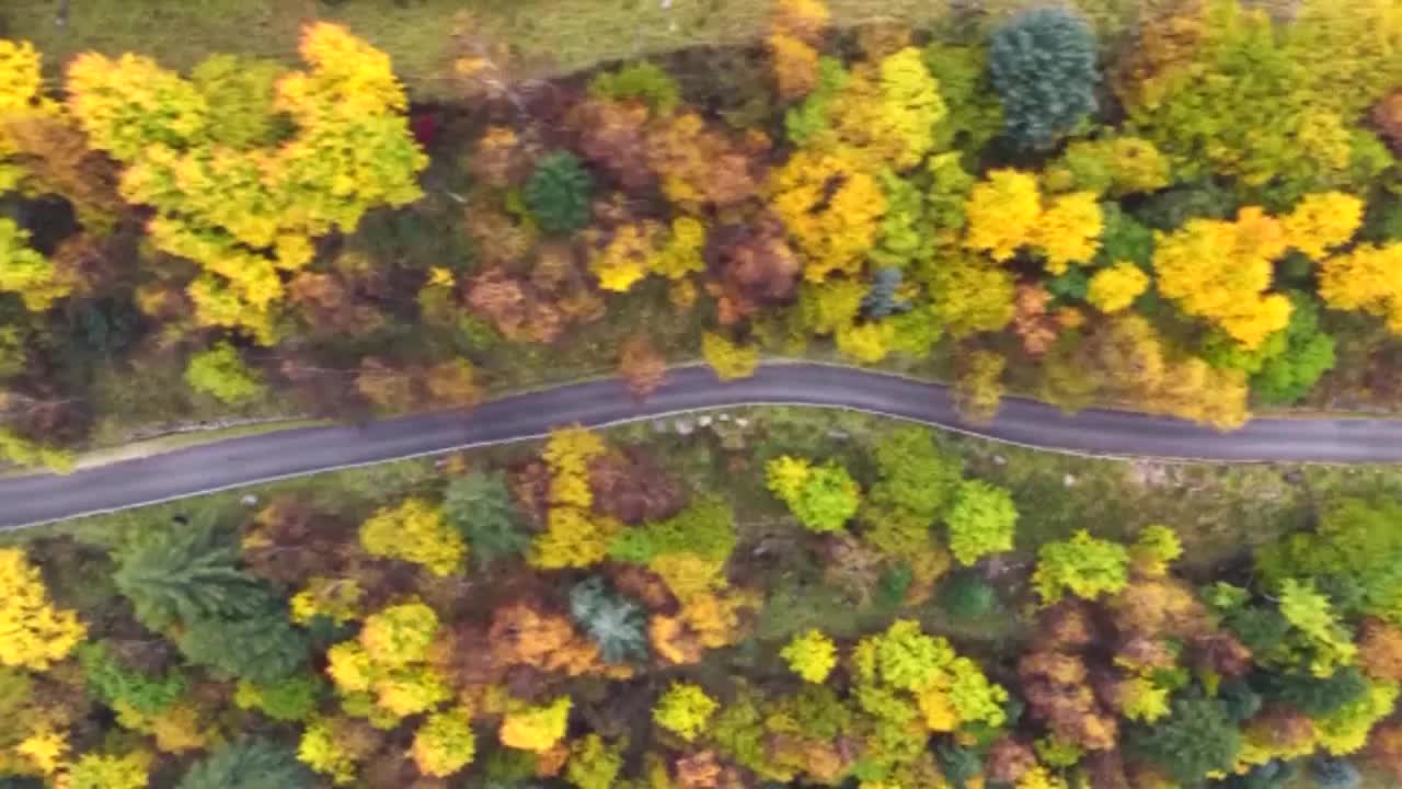 8503217_山西蘆芽山 秋色層林盡染 done - 截图4