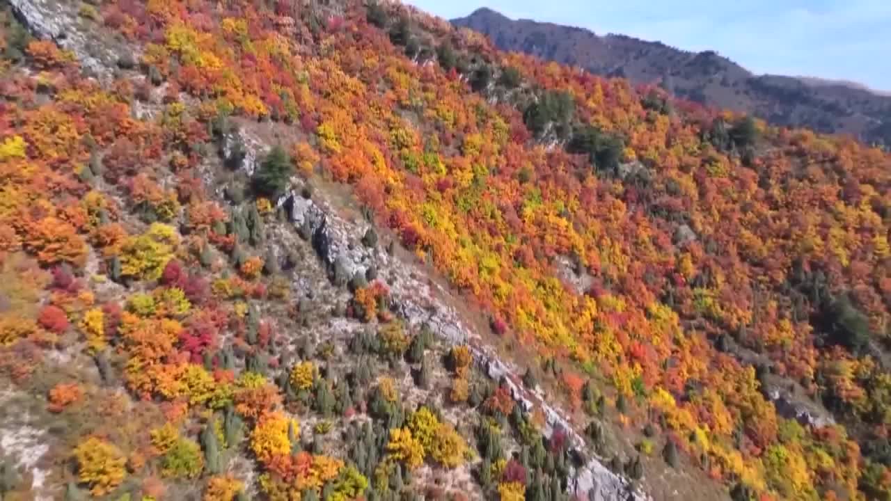 8503217_山西蘆芽山 秋色層林盡染 done - 截图6