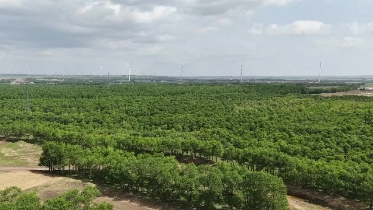 8493581_中国生态修复 科技跨区协作 - 截图1