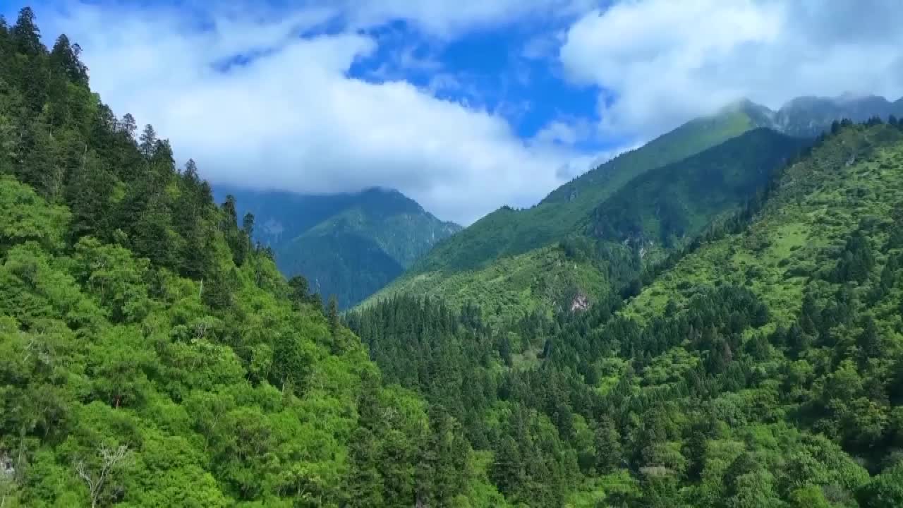 8493581_中国生态修复 科技跨区协作 - 截图7