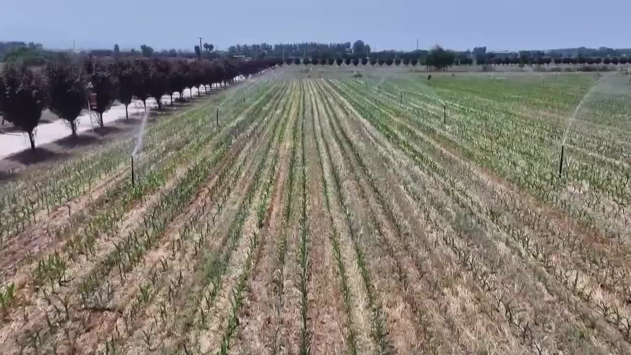 8500346_中國糧食根基穩 抗厄爾尼諾 - 截图6