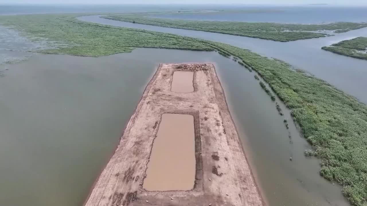 8484499_洞庭湖洪水麋鹿安全島 - 截图5